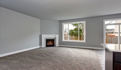 Plush Carpet in Living Room
